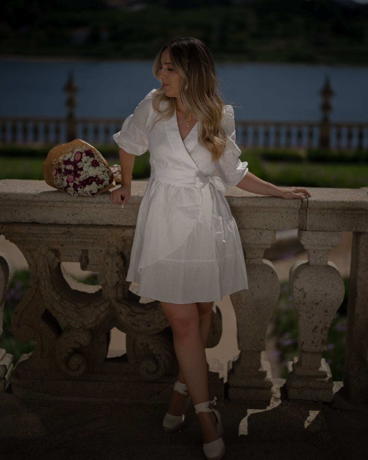 ELOISE dress